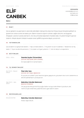Bakıcı Cv Örnekleri cv indir